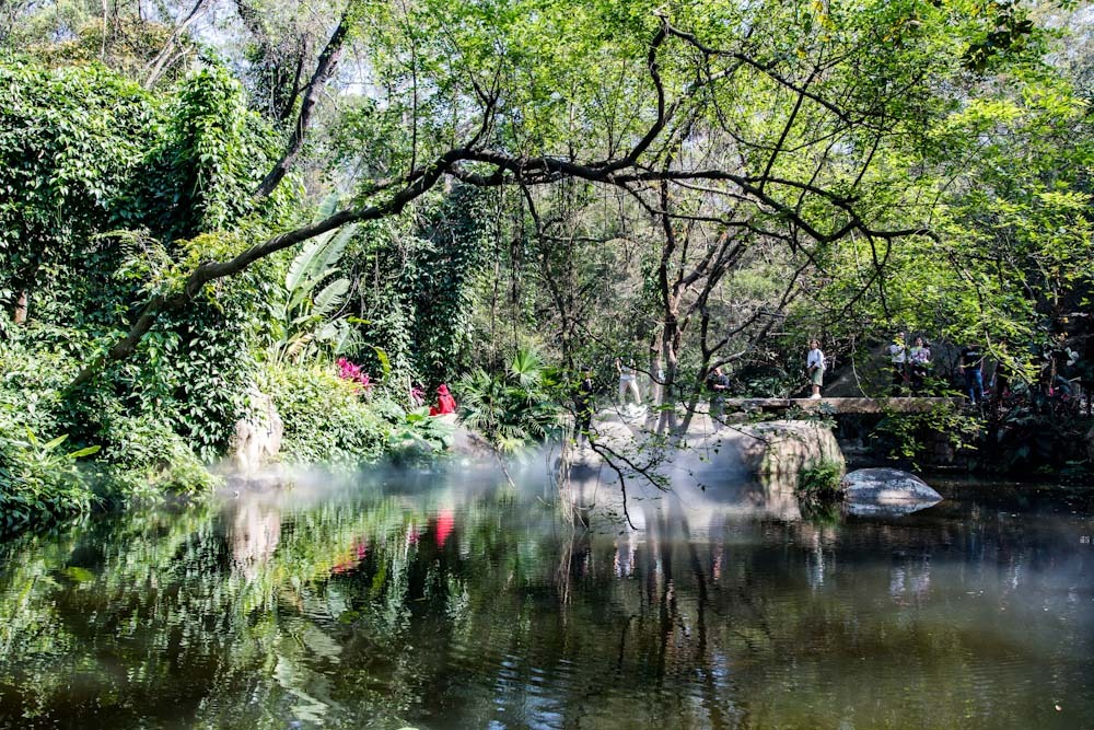 廈門園林植物園(思明區·虎園路)~tplv-be4g95zd3a-image
