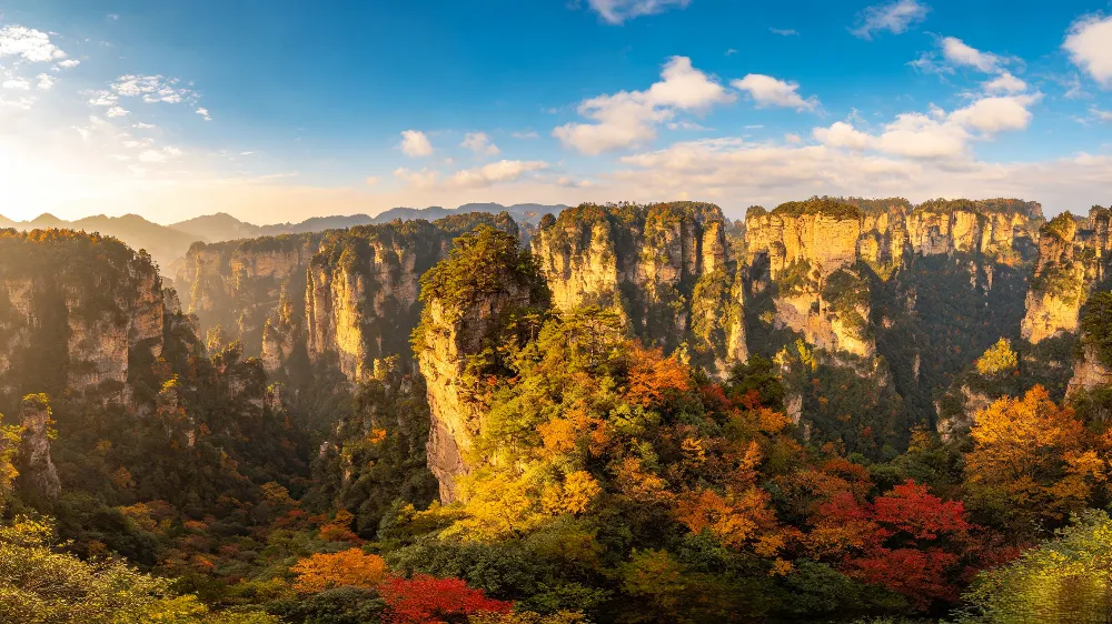 張家界秋季晴天的袁家界峰林全景,能見度全年最高,是攝影與觀光的最佳時節