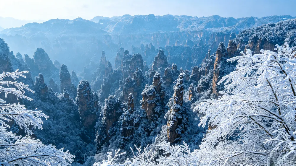 張家界冬季雪後的銀白色世界,峰林與樹枝掛滿霧凇,美麗得令人忘記寒冷