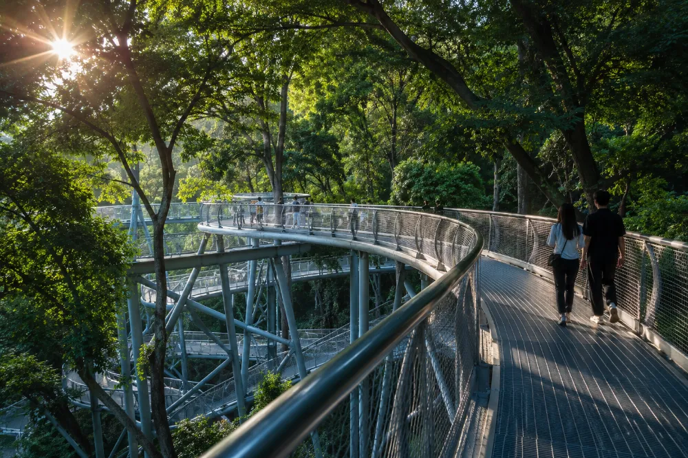 福州福道鏤空鋼架步道,穿梭樹冠之間的城市綠道體驗